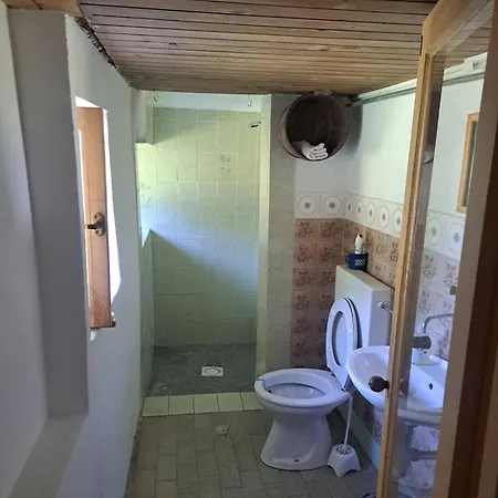 Domacija Dolenc Vogar Holiday home Ribcev Laz