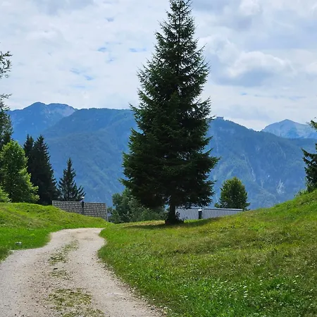 Hébergement de vacances Domacija Dolenc Vogar *