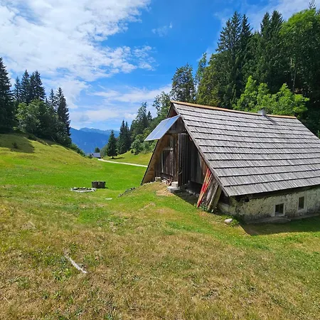 Hébergement de vacances Domacija Dolenc Vogar *